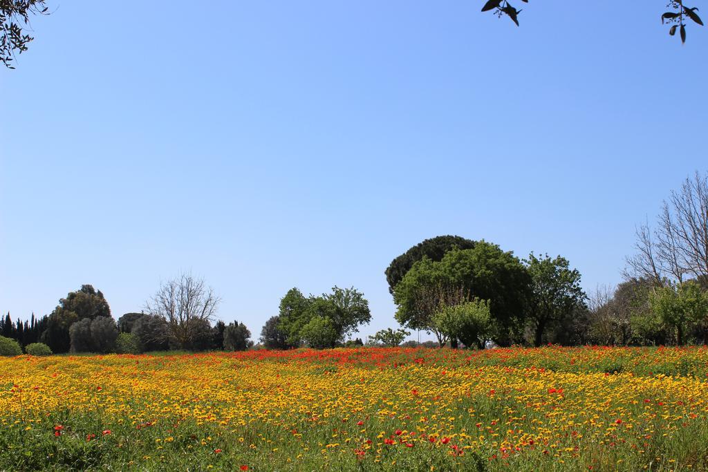 Casina Bardoscia Villa Cutrofiano Luaran gambar